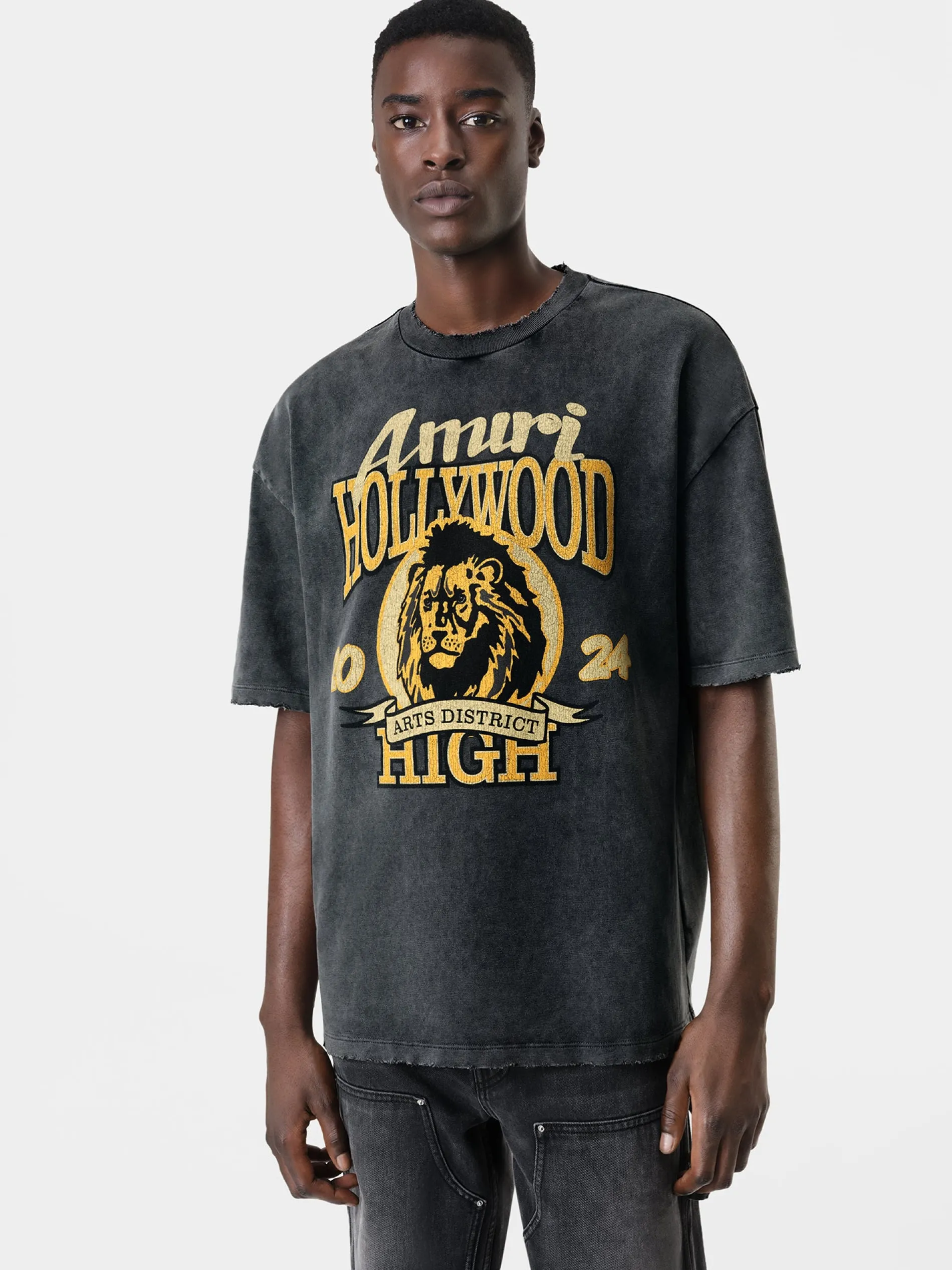 AMIRI Tees<HIGH LION SKATER TEE BLACK